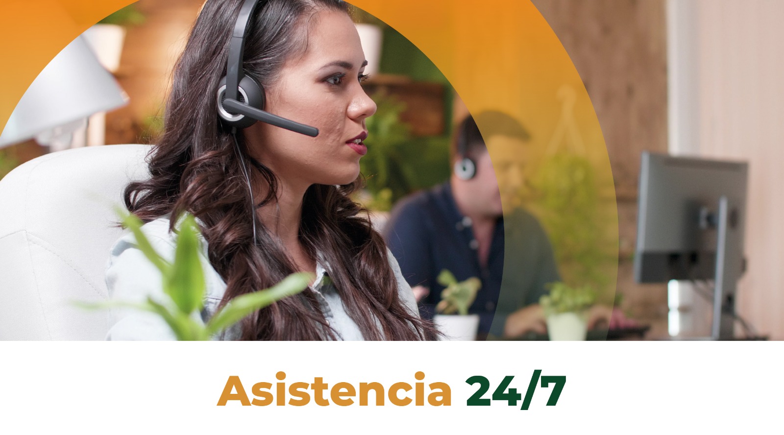 01-servicios.jpg